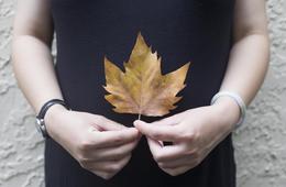 无痛人流对人体真的没有危害吗