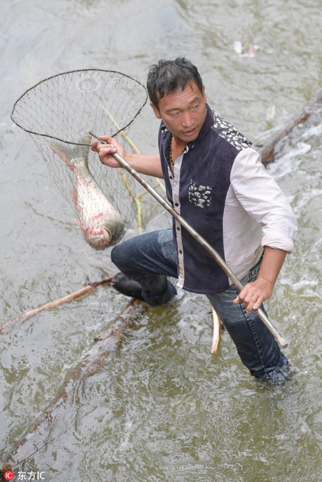 6 / 8 市民手持自制的渔网等工具进行捕鱼.