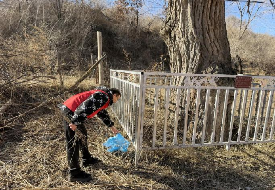 （图片说明：平安产险承德中心支公司组织开展古树名目志愿者守护活动）