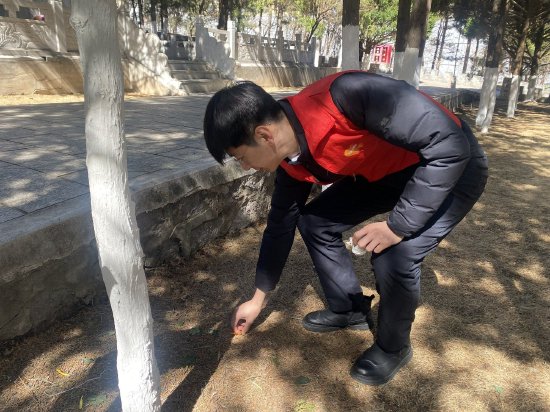 （图片说明：平安产险承德中心支公司志愿者们开展环保行动）