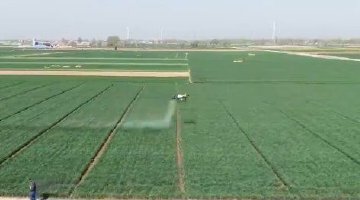 河北春耕春管一线见闻