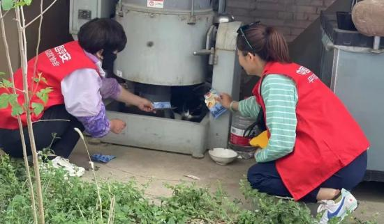(图片说明:志愿者服务场景)
