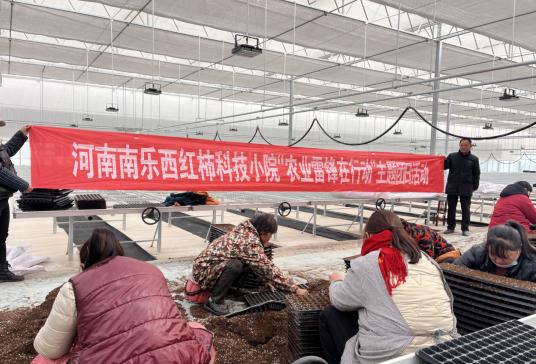 南乐西红柿科技小院“农业雷锋在行动”助力乡村振兴