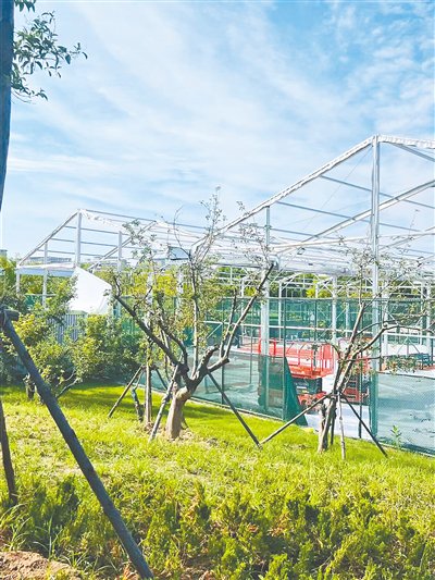 正在被拆除的违建钢架大棚