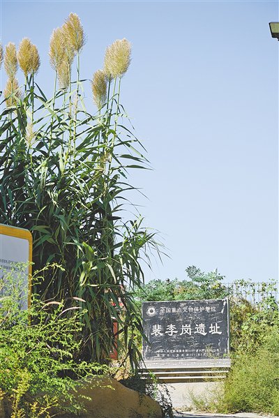 裴李岗遗址列入全国重点文物保护单位