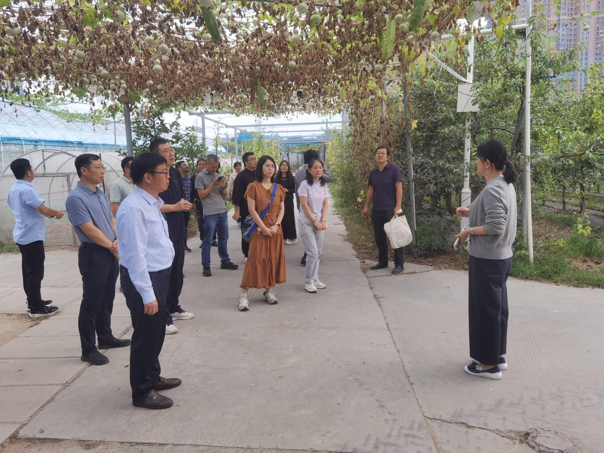 管城四支社副主委苏艳丽介绍国家园艺资源库现状