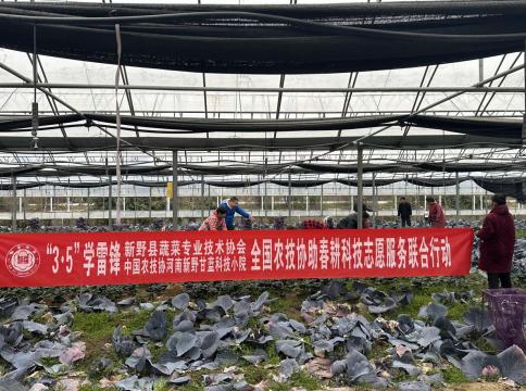 中国农技协河南新野甘蓝科技小院开展“3·5”学雷锋 全国农技协助春耕科技志愿服务联合行动