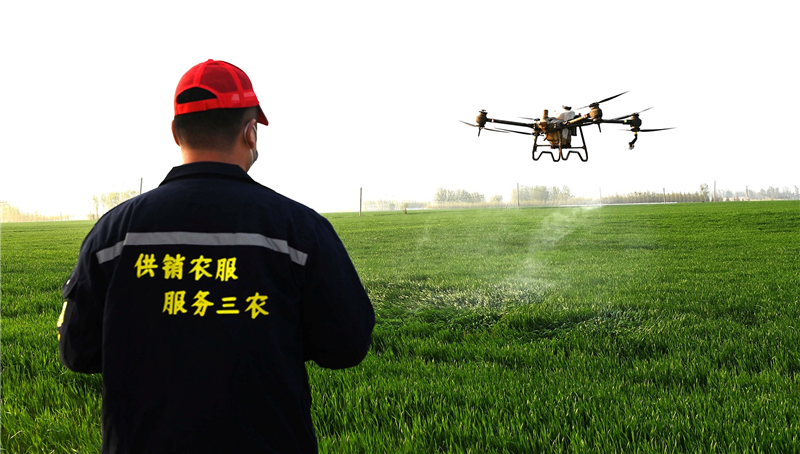 沁阳市供销社三农服务队利用植保无人机为麦田喷洒杀虫剂和营养剂。 本报资料图片