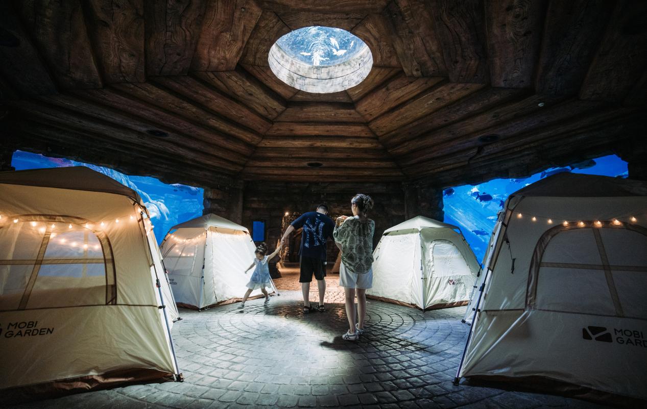 （游客在动物王国迷失河谷内体验夜宿）