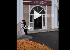 法院开放法庭院落帮助老乡晒粮......