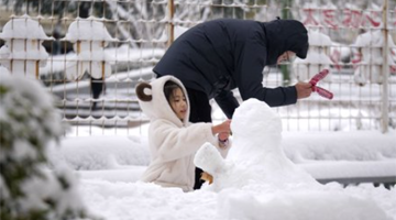 雪后的公园成了孩子们的乐园