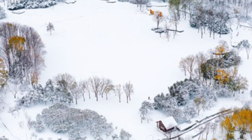 “郑州雪景宛如水墨丹青画”刷屏