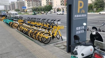 郑州共享单车特色停车框来了