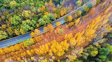 換個視角賞鄭州最美黃河灘