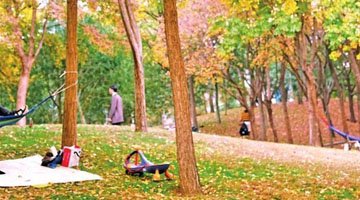 初冬的鄭州，8個賞景勝地快收藏