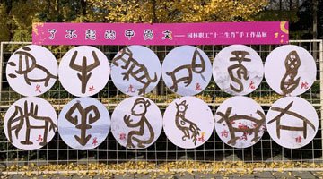 鄭州最大銀杏林剪出木質甲骨文