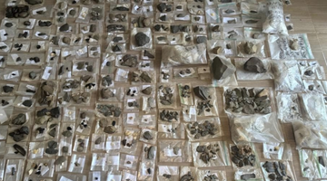 中肯考古队发现关键石叶制品