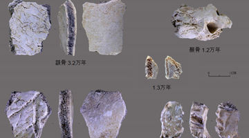 河南鲁山仙人洞遗址有新发现