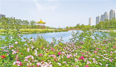 贾鲁河沿岸美景如画