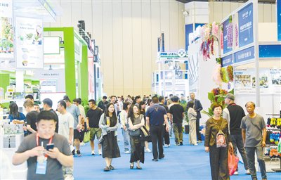 活动吸引了众多市民前来参观