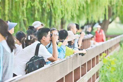前往公园游玩打卡的市民络绎不绝