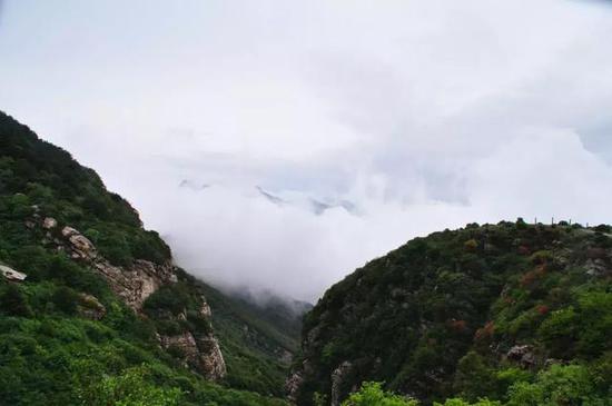 嗨起来！嵩顶音乐节，激情“燃”一夏！