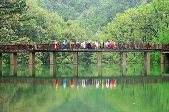 白云山 你想要的春天都在这里