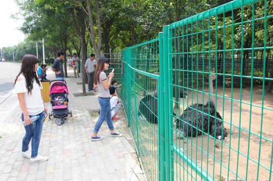 国家自然教育基地!郑州绿博园再获殊荣! 国家自然教育基地!郑州绿博园再获殊荣!