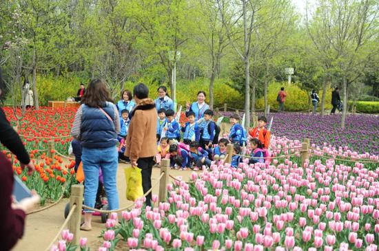 国家自然教育基地!郑州绿博园再获殊荣! 国家自然教育基地!郑州绿博园再获殊荣!