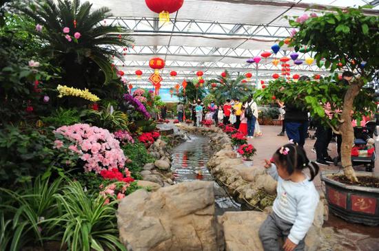 国家自然教育基地!郑州绿博园再获殊荣! 国家自然教育基地!郑州绿博园再获殊荣!