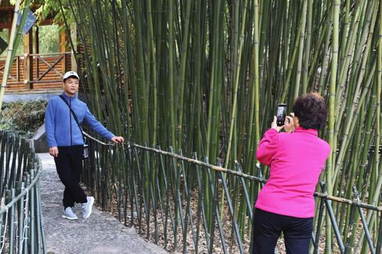“春意盎然,春色醉人” 鸡冠洞开启春季旅游“火热”模式！