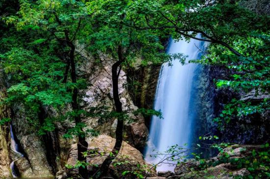 “云游仙境 夏享清凉”2019老君山观海避暑节重磅来袭！