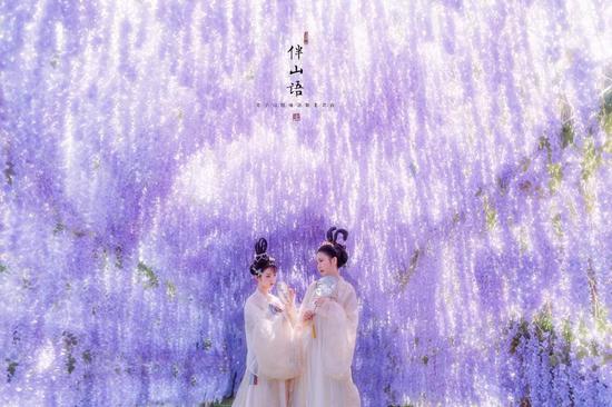 “云游仙境 夏享清凉”2019老君山观海避暑节重磅来袭！