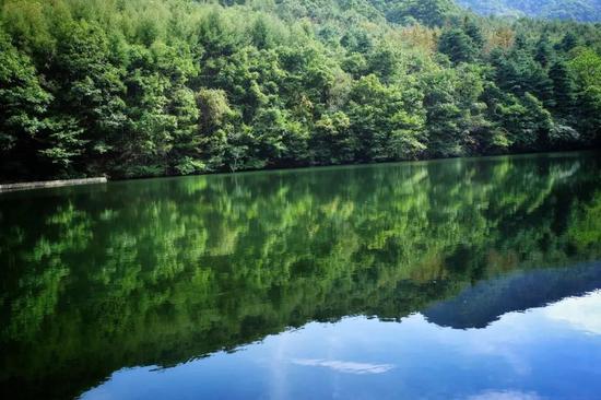 白云山 你想要的春天都在这里