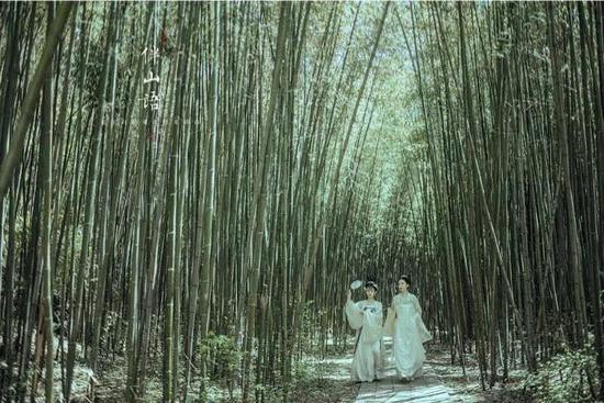 “云游仙境 夏享清凉”2019老君山观海避暑节重磅来袭！