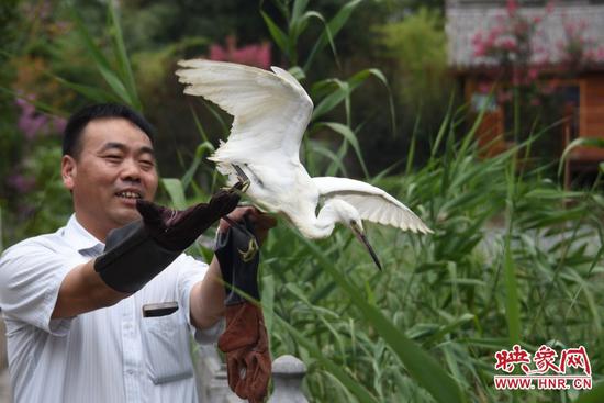 53只被救护的野生鸟儿在具茨山放飞 38只有"身份证"