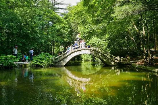 白云山 你想要的春天都在这里