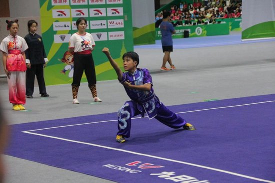 一等奖河南获嘉武术闪耀世界赛场