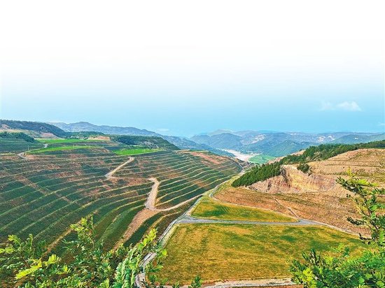 严防“修复变采矿”！河南出台矿山生态修复细则