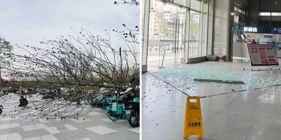 河南大风吹倒行道树，钢化玻璃门被吹碎，明天9~10级强风继续，伴扬沙或浮尘