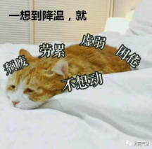 总得来说,本周气温起伏比较大,冷暖转换迅速,提醒大家要合理地增减衣物;