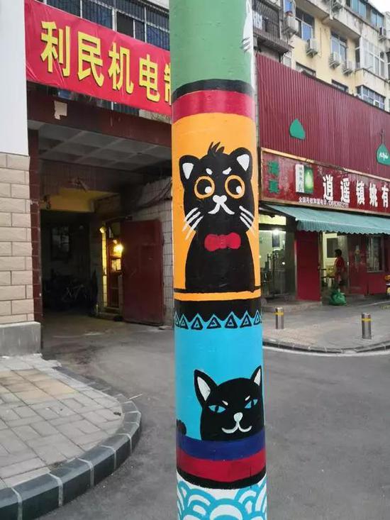 郑州街头电线杆竟成"网红" 市民惊呼"美嘞不得了"