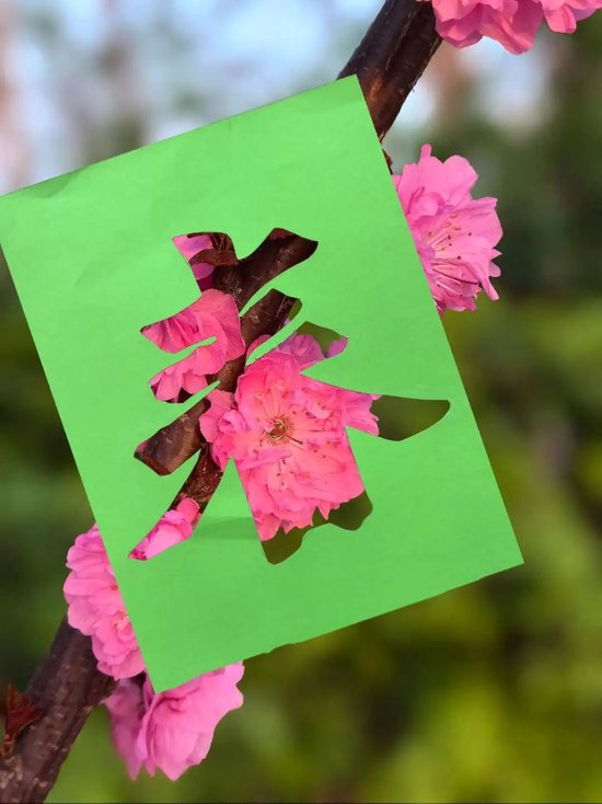 柳树剪纸 步骤图片