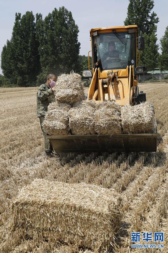在河南省平顶山市宝丰县周庄镇刘湾村,农民将打捆好的小麦秸秆装车