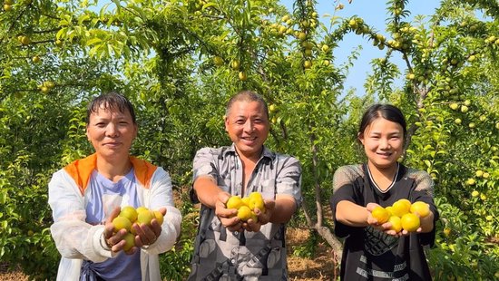 林州市桂林镇搭起电商助农致富桥助力乡村振兴加速跑
