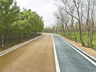 郑州市惠济区沿黄观光道路一期工程全部完工