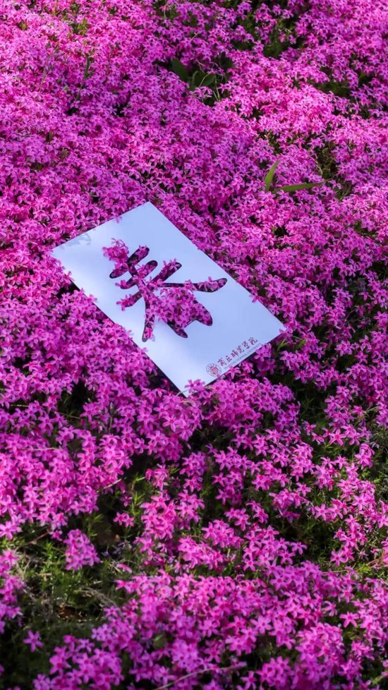 争藏绿意河南高校创意春景大pk