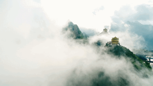 云起云涌 美丽“冻”人 2020老君山观海避暑节盛大开幕 云起云涌 美丽“冻”人 2020老君山观海避暑节盛大开幕