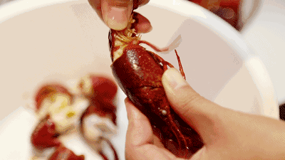 400_225gif 动态图 动图