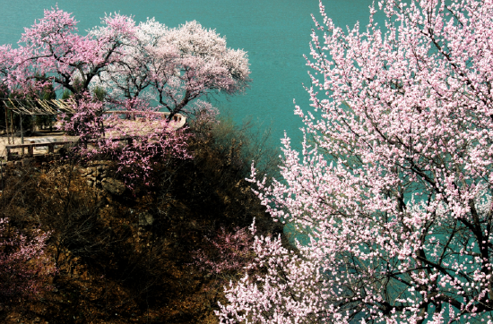 魅力女神节太行大峡谷3月1日10日女士免门票男士半价